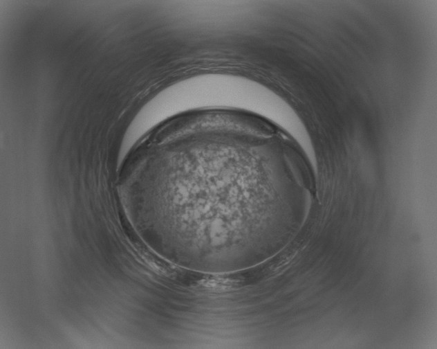 X0000052640367200507011352