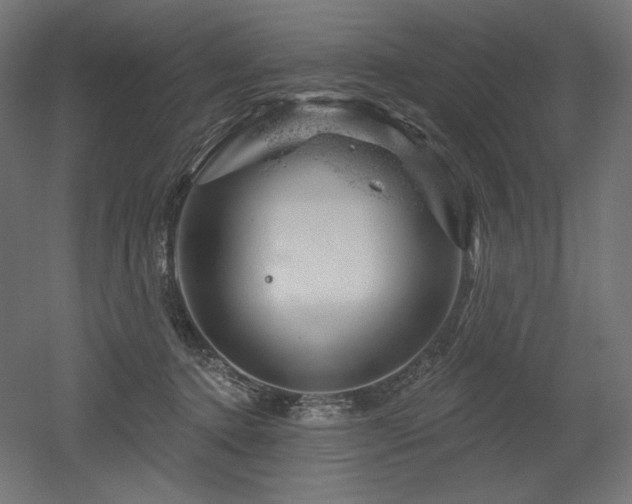 X0000052640368200507011352