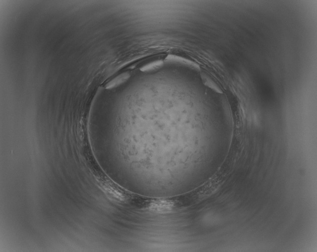 X0000052640369200507011352