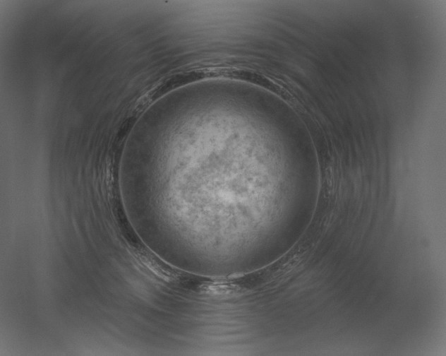 X0000052640372200507011352