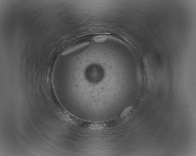 X0000052640373200507011352