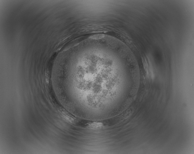 X0000052640374200507011352