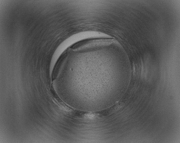 X0000052640375200507011352