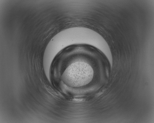 X0000052640376200507011352