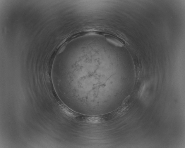 X0000052640377200507011352