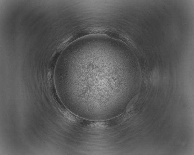 X0000052640378200507011352