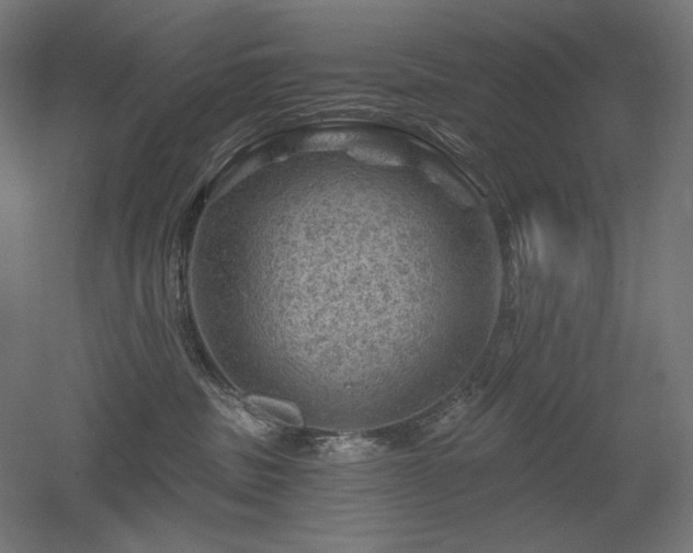 X0000052640379200507011352