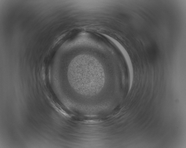 X0000052640380200507011353