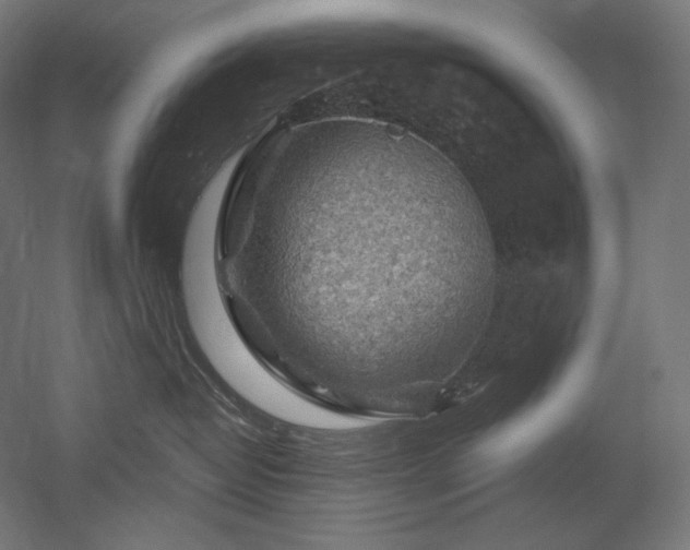 X0000052640382200507011353