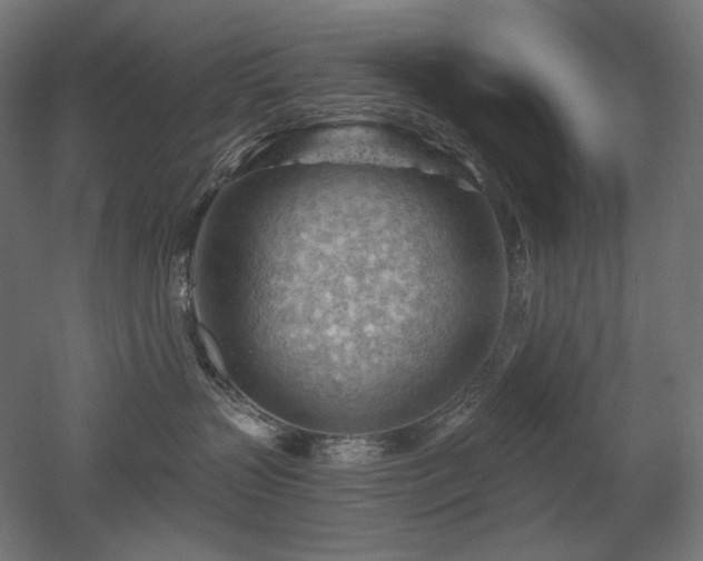 X0000052640383200507011353