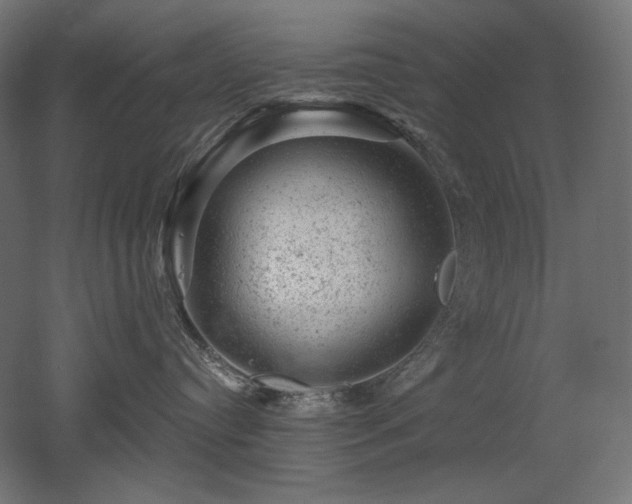 X0000052640384200507011353