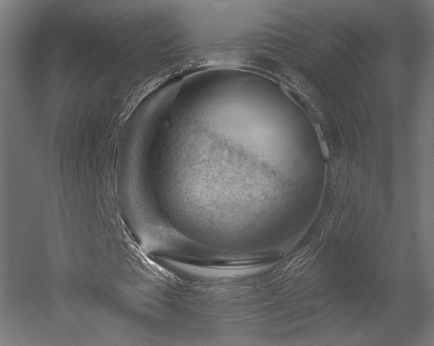 X0000052640385200507011352