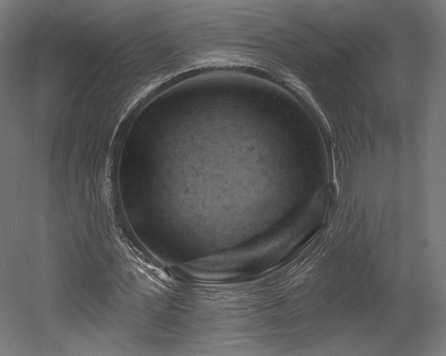 X0000052640387200507011352