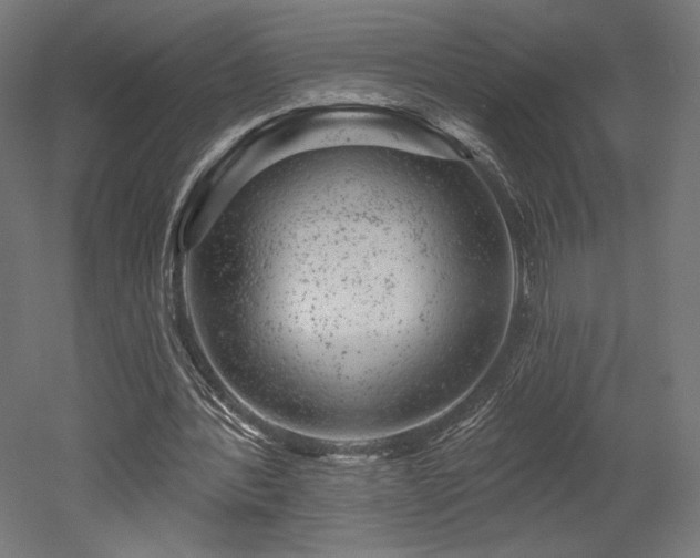 X0000052640388200507011352