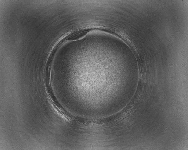 X0000052640390200507011352