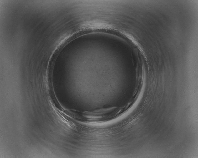 X0000052640391200507011352