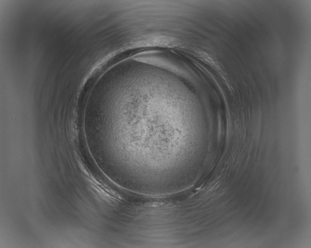 X0000052640392200507011352