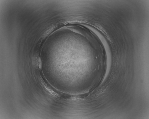 X0000052640393200507011352