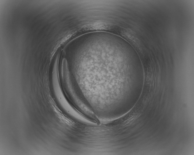 X0000052640394200507011352