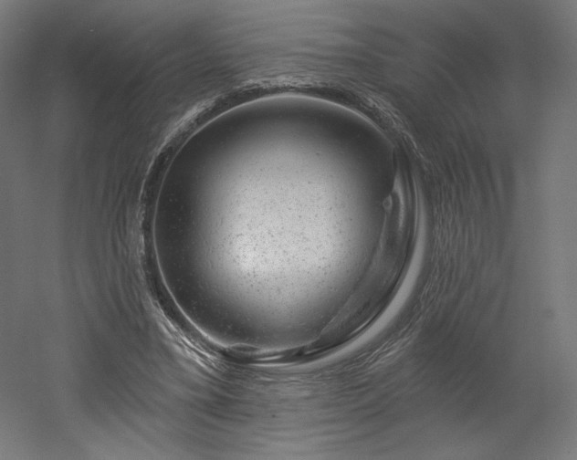 X0000052640395200507011352