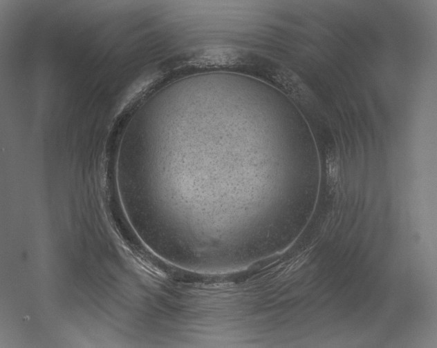 X0000052640396200507011352