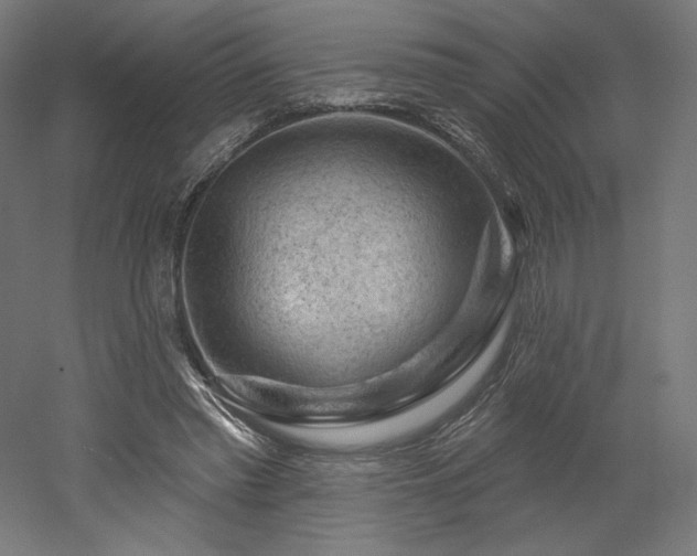 X0000052640397200507011352