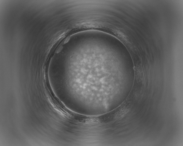 X0000052640398200507011352