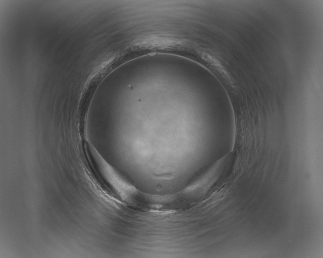 X0000052640399200507011352