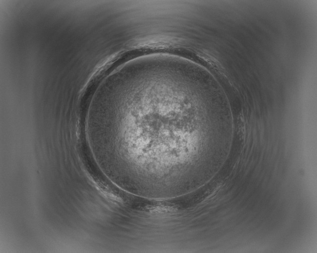 X0000052640400200507011352