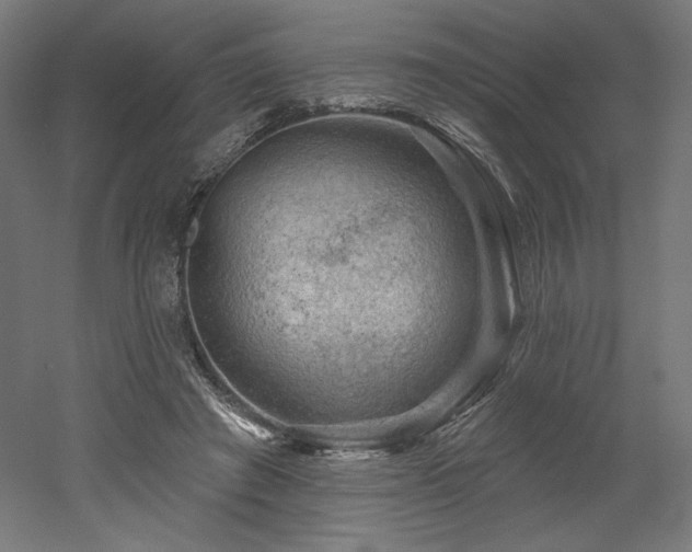 X0000052640401200507011351