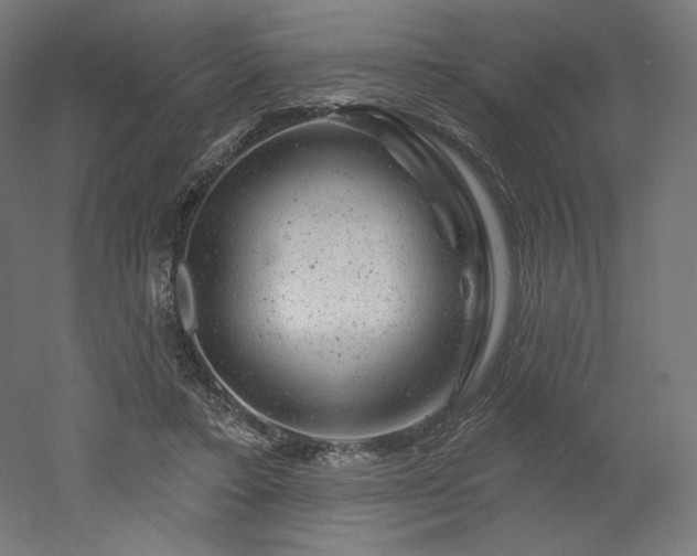 X0000052640403200507011351