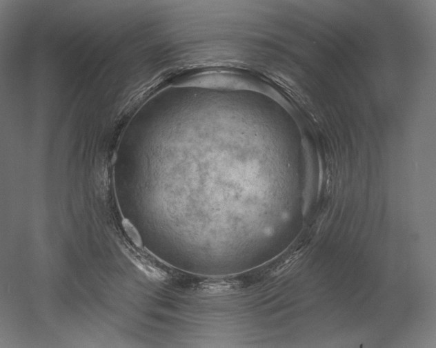 X0000052640405200507011351