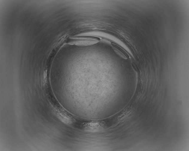 X0000052640406200507011351