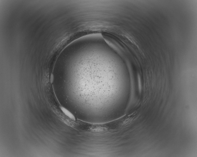 X0000052640407200507011351