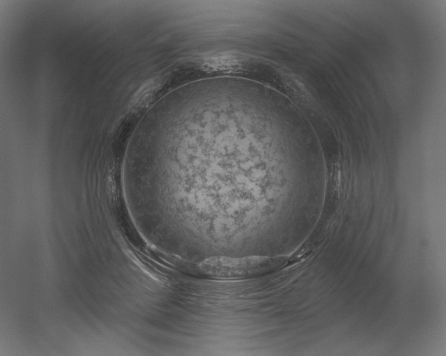 X0000052640408200507011351