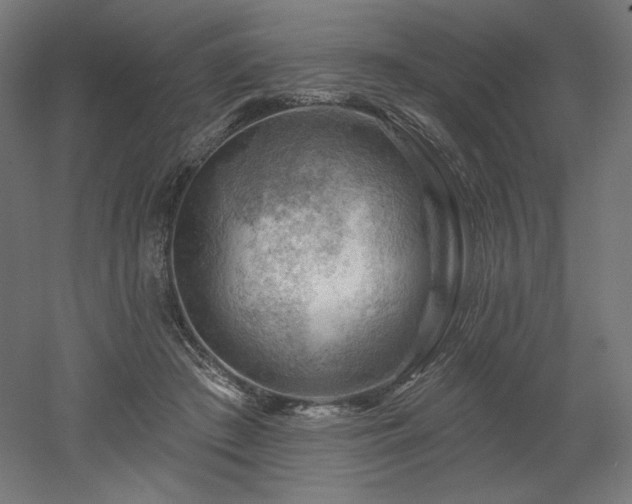 X0000052640409200507011351