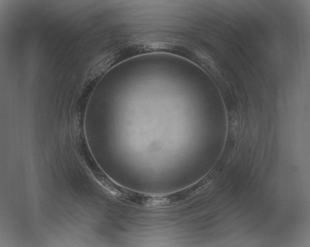 X0000052640410200507011351