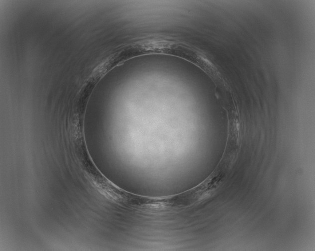 X0000052640411200507011351