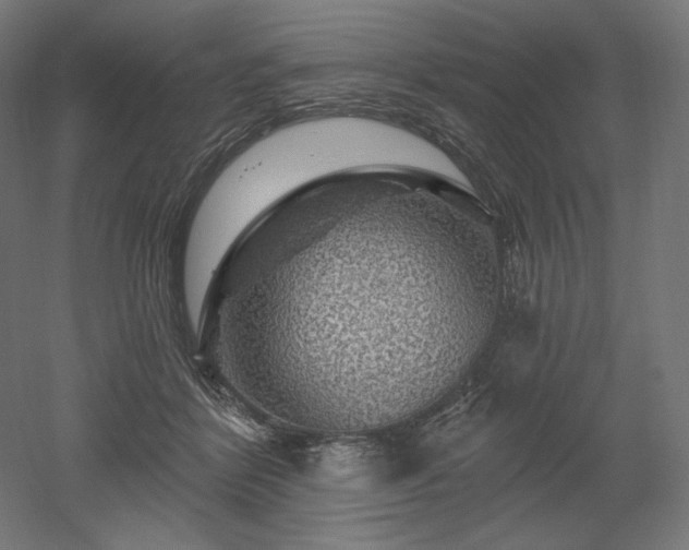 X0000052640412200507011351