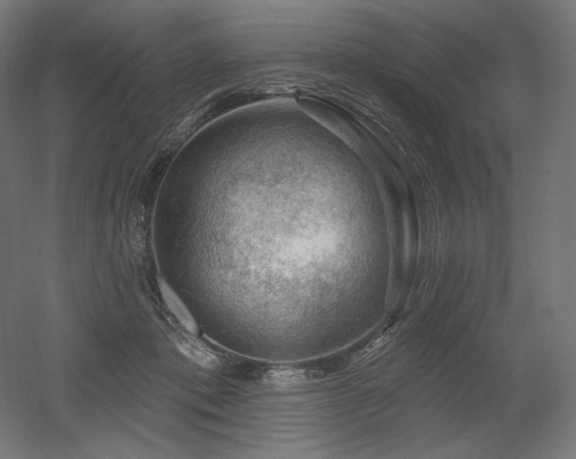 X0000052640413200507011351