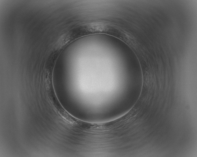 X0000052640414200507011351