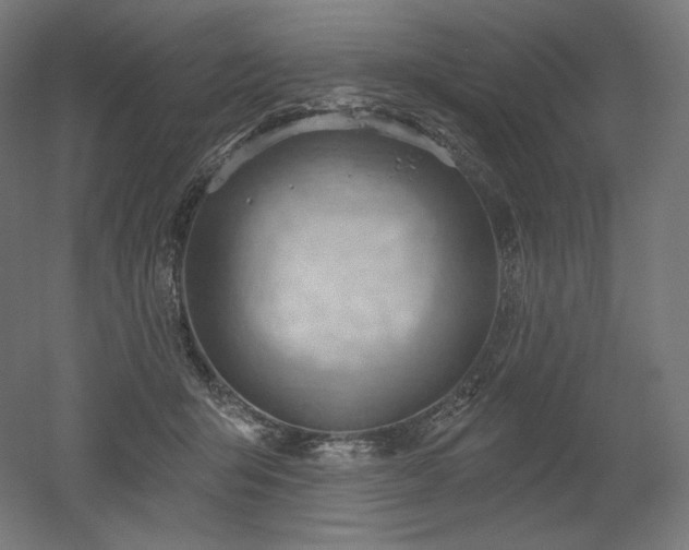 X0000052640415200507011351