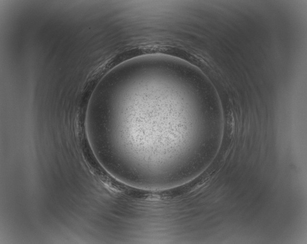 X0000052640416200507011351