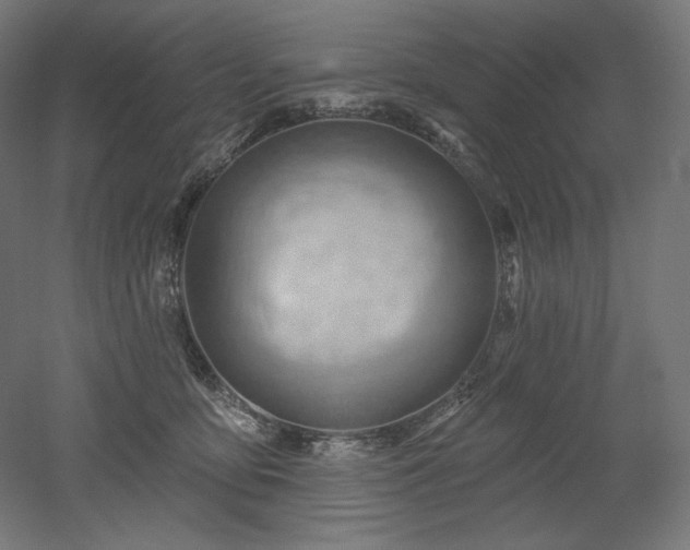 X0000052640419200507011351