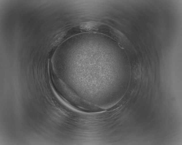 X0000052640420200507011351