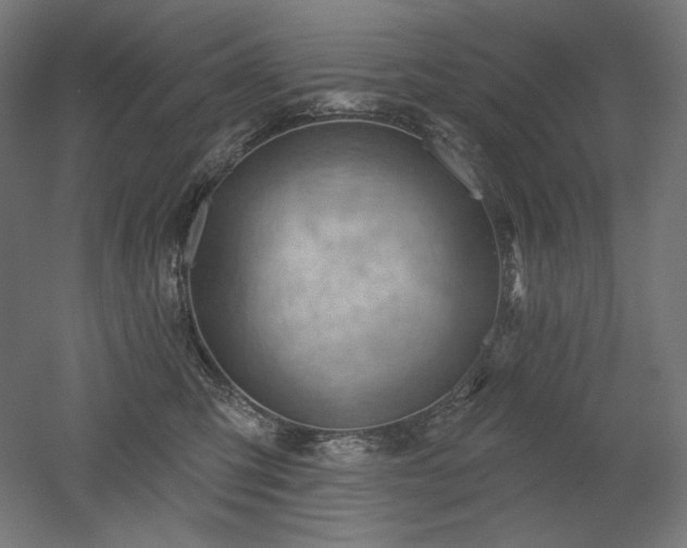 X0000052640423200507011351