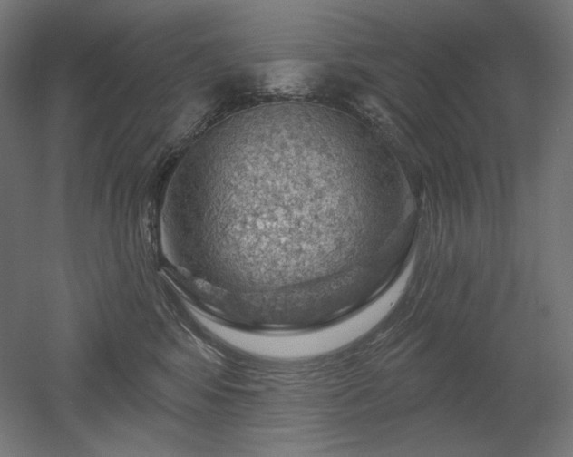 X0000052640424200507011351