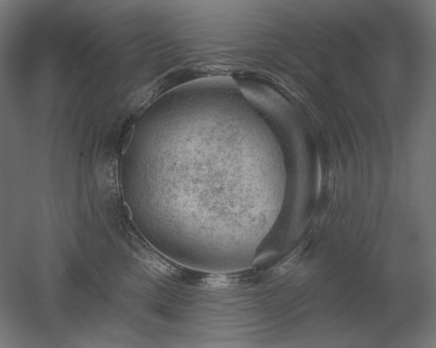 X0000052640425200507011351