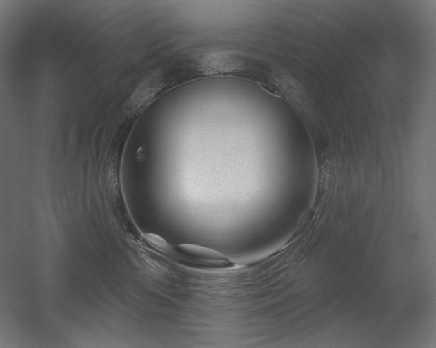 X0000052640426200507011351