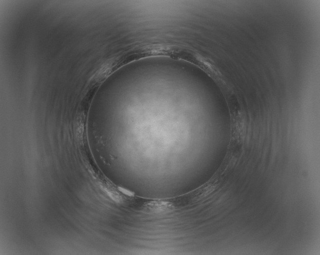 X0000052640427200507011351